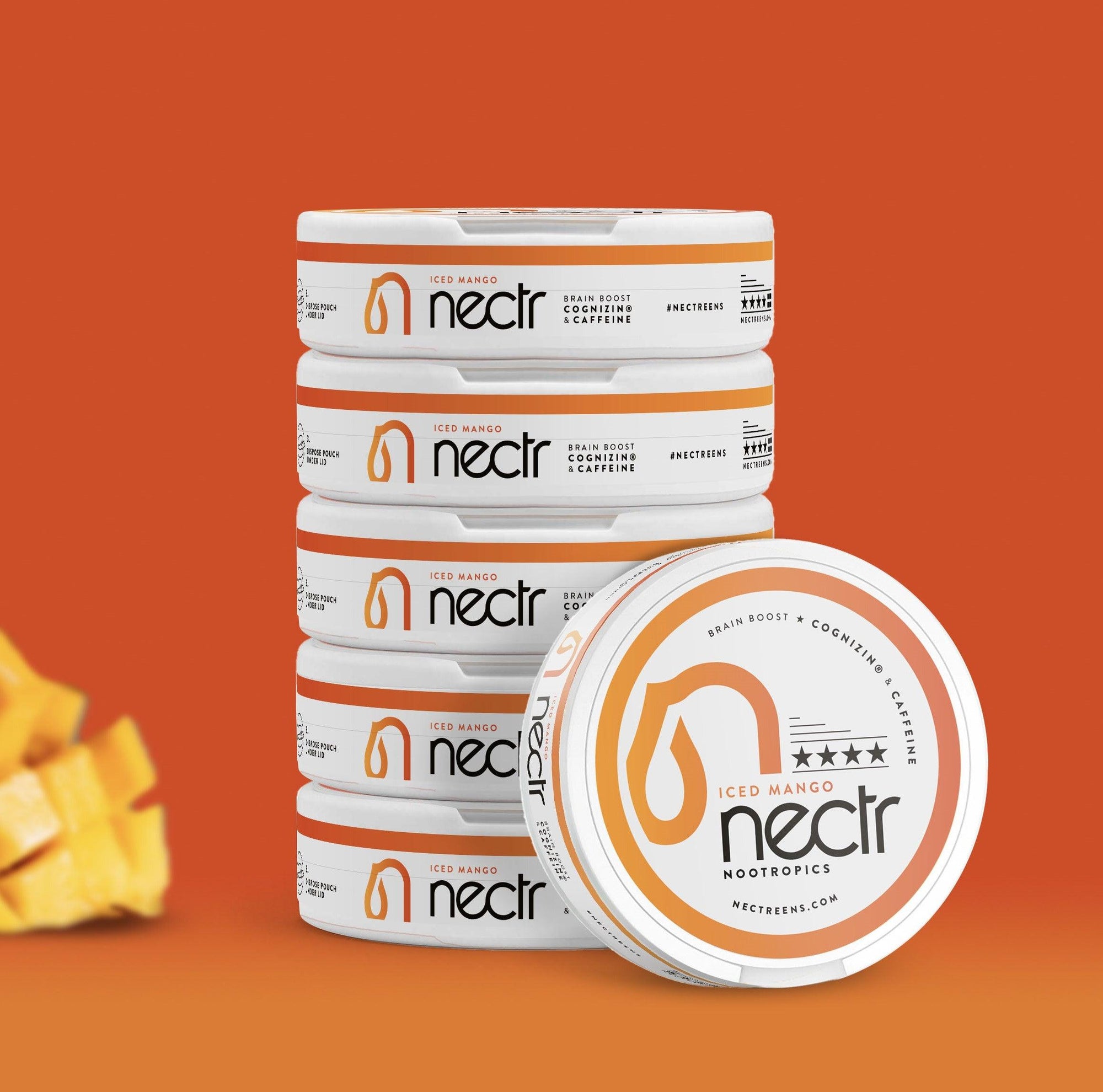 Why Nectr's Energy Pouch Stands Out: A Comprehensive Review - Nectr.Energy